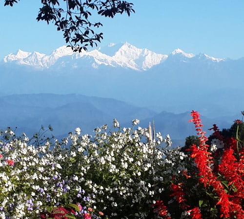TREASURES OF SIKKIM